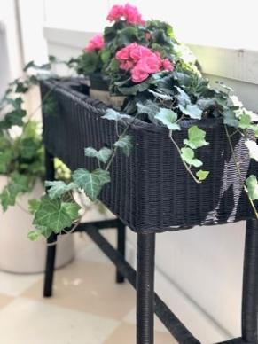 Rhonda Staley IIDA Rhonda Staley Designs Give Your Porch a Summer Refresh wicker planter